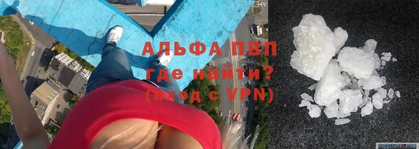 прущие грибы Кукмор
