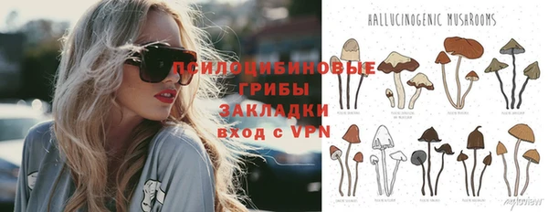 кокс Алзамай