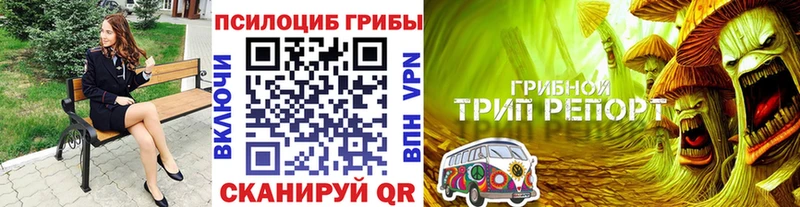 kraken ССЫЛКА  Орехово-Зуево  Псилоцибиновые грибы ЛСД  наркошоп 